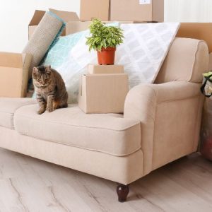 Reclaimed Wood Coffee Table with Drawers